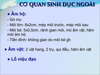 ● Âm hộ:
- Gò mu
- Môi lớn: 8x2cm, mép môi trước, mép môi sau
- Môi bé: 5x0,5cm, rãnh gian môi, mũ âm vật, hãm
môi âm hộ.
- Tiền đình: không gian do môi bé gh
● Âm vật: 2 vật hang, 2 trụ, qui đầu, hãm âm vật
● Lỗ niệu đạo
C QUAN SINH D C NGOÀIƠ ỤC QUAN SINH D C NGOÀIƠ Ụ
 