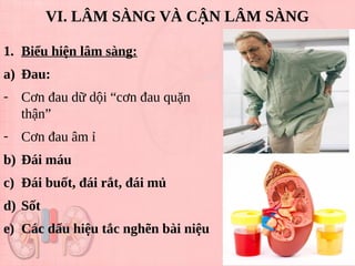 VI. LÂM SÀNG VÀ CẬN LÂM SÀNG
1. Biểu hiện lâm sàng:
a) Đau:
- Cơn đau dữ dội “cơn đau quặn
thận”
- Cơn đau âm ỉ
b) Đái máu
c) Đái buốt, đái rắt, đái mủ
d) Sốt
e) Các dấu hiệu tắc nghẽn bài niệu
 