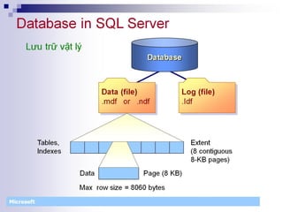 Bài giảng sql server 2008 | PDF