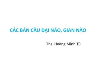 CÁC BÁN CẦU ĐẠI NÃO, GIAN NÃO
Ths. Hoàng Minh Tú
 