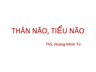 THÂN NÃO, TI U NÃOỂ
ThS. Hoàng Minh Tú
 