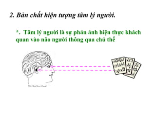 2. Bản chất hiện tượng tâm lý người.
*. Tâm lý người là sự phản ánh hiện thực khách
quan vào não người thông qua chủ thể
 