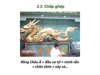 2.3. Chắp ghép
Rồng Châu Á = đầu sư tử + mình rắn
+ chân chim + vảy cá…
 
