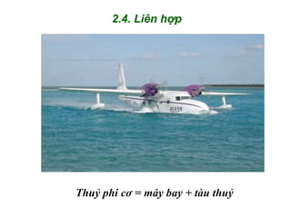 2.4. Liên hợp
Thuỷ phi cơ = máy bay + tàu thuỷ
 