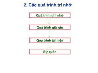 2. Các quá trình trí nhớ
Quá trình ghi nhớ
Quá trình giữ gìn
Sự quên
Quá trình tái hiện
 