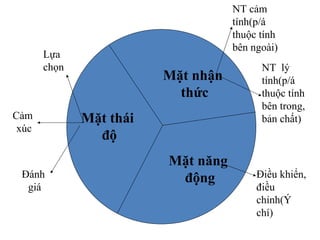 Mặt nhận
thức
Mặt thái
độ
Mặt năng
động
NT cảm
tính(p/á
thuộc tính
bên ngoài)
NT lý
tính(p/á
thuộc tính
bên trong,
bản chất)
Điều khiển,
điều
chỉnh(Ý
chí)
Lựa
chọn
Cảm
xúc
Đánh
giá
 
