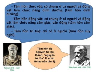 - Tâm hồn thực vật: có chung ở cả người và động
vật làm chức năng dinh dưỡng (tâm hồn dinh
dưỡng).
- Tâm hồn động vật: có chung ở cả người và động
vật làm chức năng cảm giác, vận động (tâm hồn cảm
giác).
- Tâm hồn trí tuệ: chỉ có ở người (tâm hồn suy
nghĩ).
Arixtot (348 – 322
TCN)
Đêmôcrit (460 - 370 TCN)
Tâm hồn do
nguyên tử tạo
thành, “nguyên
tử lửa” là nhân
tố tạo nên tâm lý.
 