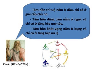 Platôn (427 – 347 TCN)
- Tâm hồn trí tuệ nằm ở đầu, chỉ có ở
giai cấp chủ nô.
- Tâm hồn dũng cảm nằm ở ngực và
chỉ có ở tầng lớp quý tộc.
- Tâm hồn khát vọng nằm ở bụng và
chỉ có ở tầng lớp nô lệ.
 