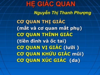 HỆ GIÁC QUANHỆ GIÁC QUAN
Nguyễn Thị Thanh PhượngNguyễn Thị Thanh Phượng
CƠ QUAN THỊ GIÁCCƠ QUAN THỊ GIÁC
(mắt và cơ quan mắt phụ)(mắt và cơ quan mắt phụ)
CƠ QUAN THÍNH GIÁCCƠ QUAN THÍNH GIÁC
(tiền đình và ốc tai)(tiền đình và ốc tai)
CƠ QUAN VỊ GIÁCCƠ QUAN VỊ GIÁC (lưỡi )(lưỡi )
CƠ QUAN KHỨU GIÁCCƠ QUAN KHỨU GIÁC mũi)mũi)
CƠ QUAN XÚC GIÁCCƠ QUAN XÚC GIÁC (da)(da)
 