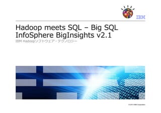 © 2013 IBM Corporation
Hadoop meets SQL – Big SQL
InfoSphere BigInsights v2.1
IBM Hadoopソフトウェア・テクノロジー
 