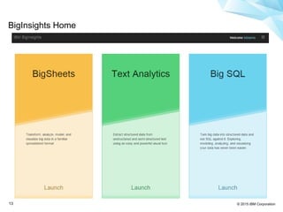 © 2015 IBM Corporation13
BigInsights Home
 