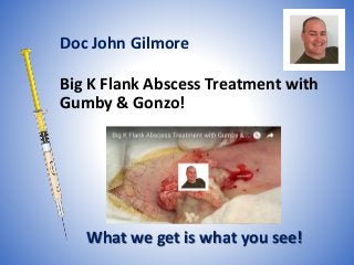 Big K Flank Abscess Treatment with
Gumby & Gonzo!
What we get is what you see!
Doc John Gilmore
 