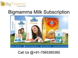 Bigmamma Milk Subscription
Call Us @+91-7065365365
 
