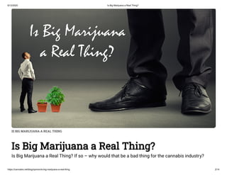 6/12/2020 Is Big Marijuana a Real Thing?
https://cannabis.net/blog/opinion/is-big-marijuana-a-real-thing 2/14
IS BIG MARIJUANA A REAL THING
Is Big Marijuana a Real Thing?
Is Big Marijuana a Real Thing? If so – why would that be a bad thing for the cannabis industry?
 