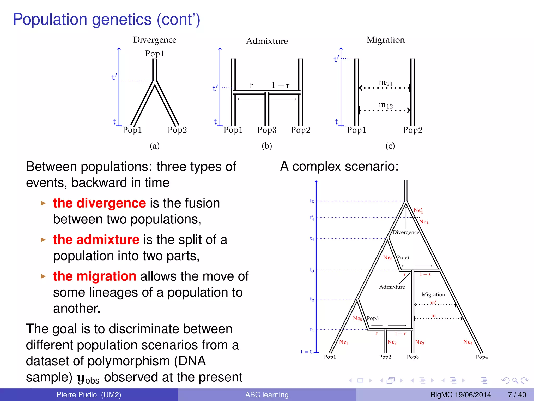 Population genetics (cont’) Divergence Pop1 Pop1 Pop2 (a) t0 t Admixture r 1 - r 2.5 Conclusion 37 Pop1 Pop3 Pop2 (b) t0 t Migration m21 m12 Pop1 Pop2 (c) t0 t FIGURE 2.3: Représentations graphiques des trois types d’évènements inter-populationnels d’un scénario démographique. Il existe deux familles d’évènements inter-populationnels. La première famille est simple, elle correspond aux évènement inter-populationnels instantanés. C’est le cas d’une divergence ou d’une admixture. (a) Deux populations qui évoluent pour se fusionner dans le cas d’une divergence. (b) Trois po-pulations Between populations: three types of events, backward in time I the divergence is the fusion between two populations, I the admixture is the split of a population into two parts, I the migration allows the move of some lineages of a population to another. The goal is to discriminate between different population scenarios from a dataset of polymorphism (DNA sample) yobs observed at the present time. qui évoluent en parallèle pour une admixture. Pour cette t5 situation, chacun des tubes représente (on peut imaginer qu’il porte à l’intérieur) la généalogie de la population qui évolue indépendamment des autres suivant un coalescent de Kingman. La deuxième correspond à la présence d’une migration.(c) Cette situation est légèrement plus compliquée que la précédente à cause des flux de gènes (plus d’indépendance). Ici, un seul processus évolutif gouverne les deux populations réunies. La présence de migrations entre les populations Pop1 et Pop2 implique des déplacements de lignées d’une population à l’autre et ainsi la concurrence entre les évènements de coales-cence et de migration. A complex scenario: Ne04 Divergence Pop1 Ne1 Pop4 Ne4 Ne6 Pop6 s 1 - s Admixture Ne3 Pop3 Ne2 Pop2 Ne5 Pop5 Migration m0 m t04 t4 t = 0 Ne4 t3 t2 t1 r 1 - r FIGURE 2.1: Exemple d’un scénario évolutif complexe composé d’évènements inter-populationnels. Ce scénario implique quatre populations échantillonnées Pop1, . . . , Pop4 et deux autres populations non-observées Pop5 et Pop6. Les branches de ce schéma sont des tubes et le scénario démographique contraint la généalogie à rester à l’intérieur de ces tubes. La migration entre les populations Pop3 et Pop4 sur la période [0, t3] est paramétrée par les taux de migration m et m0. Les deux évènements d’admixture sont pa-ramétrés Pierre Pudlo (UM2) ABC learning BigMC 19/06/2014 7 / 40 par les dates t1 et t3 ainsi que les taux d’admixture respectifs r et s. Les trois évènements restants sont des divergences, respectivement en t2, t4 et t5. L’événement en t04 correspond à un changement de taille 