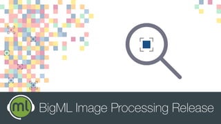 BigML Image Processing Release
 