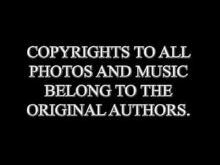 Big nose celebrities (v.m.)