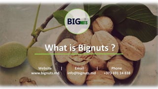 Website | Email | Phone
www.bignuts.md info@bignuts.md +373 691 14 838
What is Bignuts ?
 