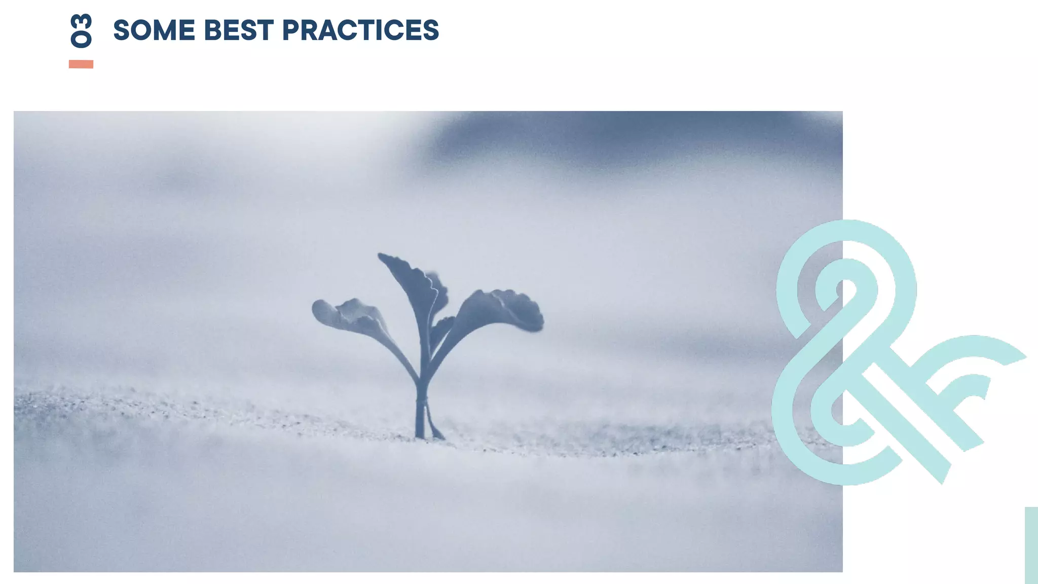 SOME BEST PRACTICES
03
 