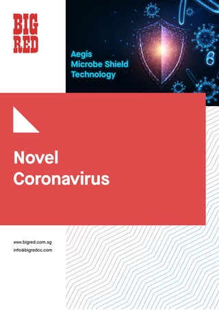 Novel
Coronavirus
www.bigred.com.sg
info@bigredcc.com
 
