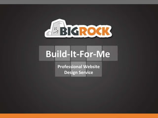 Build-It-For-Me Professional Website Design Service 