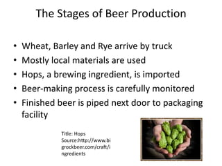 The Stages of Beer ProductionWheat, Barley and Rye arrive by truckMostly local materials are usedHops, a brewing ingredient, is importedBeer-making process is carefully monitoredFinished beer is piped next door to packaging facilityTitle: HopsSource:http://www.bigrockbeer.com/craft/ingredients