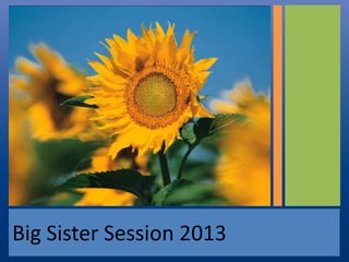 Big Sister Session 2013

 