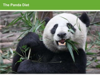 Confidential and Proprietary © Glassdoor, Inc. 2008-2013
The Panda Diet
 
