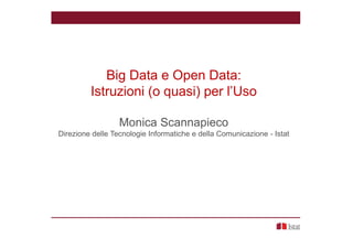 Big Data e Open Data:
Istruzioni (o quasi) per l’Uso
Monica Scannapieco
Direzione delle Tecnologie Informatiche e della Comunicazione - Istat

 