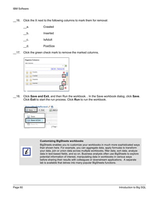 IBM Software
Page 60 Introduction to Big SQL
__16. Click the X next to the following columns to mark them for removal:
__a. Crawled
__b. Inserted
__c. IsAdult
__d. PostSize
__17. Click the green check mark to remove the marked columns.
__18. Click Save and Exit, and then Run the workbook. . In the Save workbook dialog, click Save.
Click Exit to start the run process. Click Run to run the workbook.
Customizing BigSheets workbooks
BigSheets enables you to customize your workbooks in much more sophisticated ways
than shown here. For example, you can aggregate data, apply formulas to transform
your data, join or union data across multiple workbooks, filter data, sort data, analyze
data in text-based fields, and so on. Business analysts often use BigSheets to explore
potential information of interest, manipulating data in workbooks in various ways
before sharing their results with colleagues or downstream applications. A separate
lab is available that delves into many popular BigSheets functions.
 