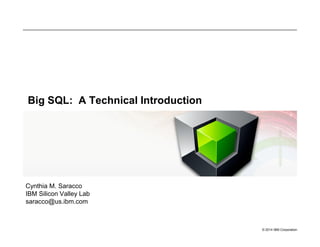 © 2016 IBM Corporation
Big SQL: A Technical Introduction
Created by C. M. Saracco, IBM Silicon Valley Lab
June 2016
 