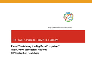 Big Data Public Private Forum 
BIG DATA PUBLIC PRIVATE FORUM 
Panel “Sustaining the Big Data Ecosystem” 
The BDV PPP Stakeholder Platform 
30th September, Heidelberg 
 