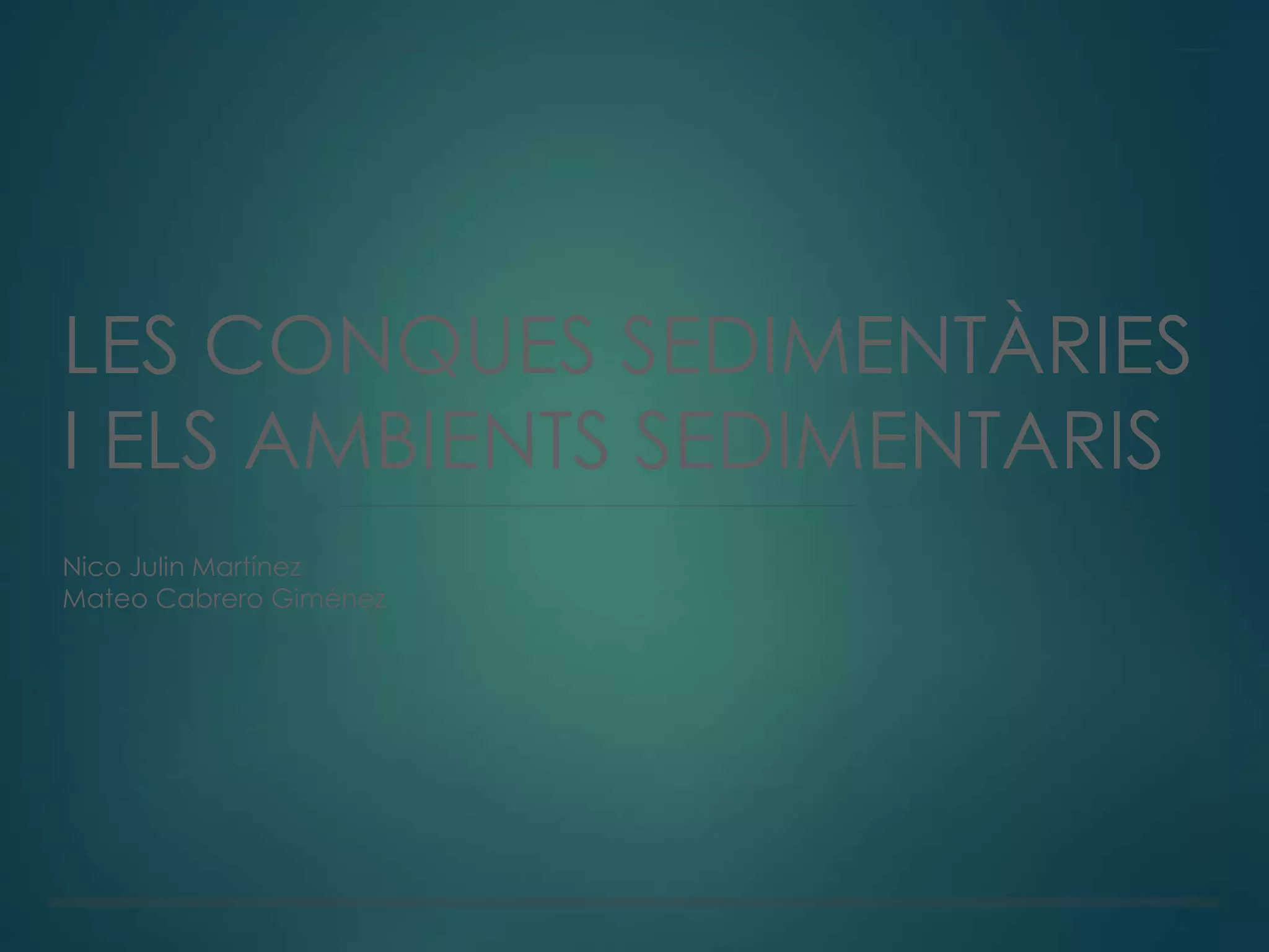 LES CONQUES SEDIMENTÀRIES
I ELS AMBIENTS SEDIMENTARIS
Nico Julin Martínez
Mateo Cabrero Giménez
 