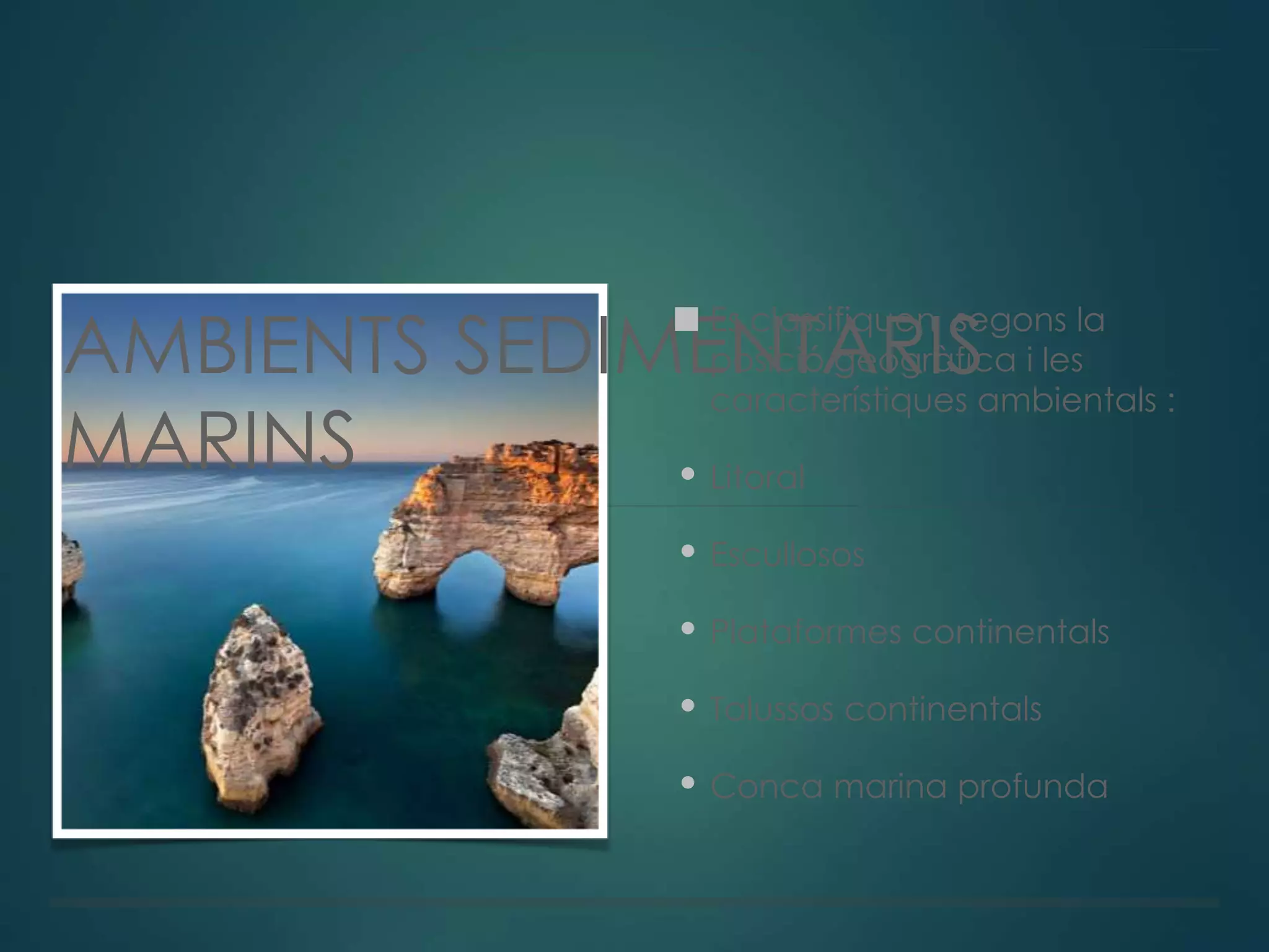 AMBIENTS SEDIMENTARIS
MARINS
Es classifiquen segons la
posició geogràfica i les
característiques ambientals :
• Litoral
• Escullosos
• Plataformes continentals
• Talussos continentals
• Conca marina profunda
 