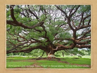 2014-2015: Love Heritage Trees Project on Social Media, 123 big trees from public
LOVE HERITAGE TREES
 
