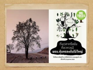 BIGTrees Project