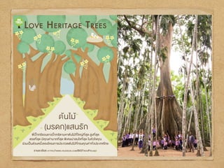 BIGTrees Project