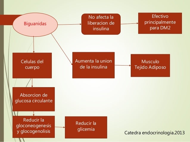 TRATAMIENTO FARMACOLOGICO DIABETES TIPO II (METFORMINA Y TRATAMIENTO FARMACOLOGICO DIABETES TIPO II (METFORMINA Y
