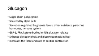 Glucagon
• Single chain polypeptide
• Secreted by alpha cells
• Secretion regulated by glucose levels, other nutrients, paracrine
hormones, nervous system
• GLP-1, FFA, ketone bodies inhibit glucagon release
• Enhance glycogenolysis and gluconeogenesis in liver
• Increases the force and rate of cardiac contraction
 