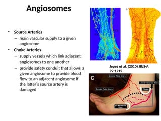 calcaneal fracture classification & management .pptx