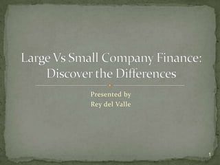 Presented by Rey del Valle Large Vs Small Company Finance:Discover the Differences 1 