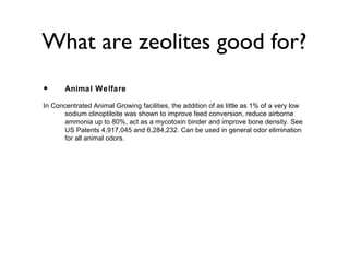 What are zeolites good for?
•      Animal Welfare

In Concentrated Animal Growing facilities, the addition of as little as 1% of a very low
      sodium clinoptiloite was shown to improve feed conversion, reduce airborne
      ammonia up to 80%, act as a mycotoxin binder and improve bone density. See
      US Patents 4,917,045 and 6,284,232. Can be used in general odor elimination
      for all animal odors.
 