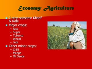 Economy: Agriculture
 2 crop seasons: Kharif
& Rabi
 Major crops:
– Rice
– Sugar
– Tobacco
– Wheat
– Jute
 Other minor crops:
– Chilli
– Mango
– Oil Seeds
 