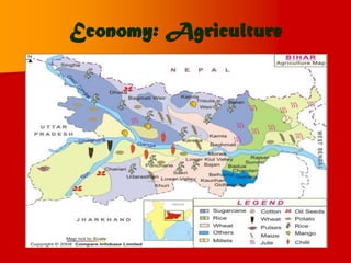 Economy: Agriculture
 