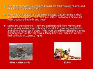  The Ahirs (Yadavas), Kurmis and Koiris are land-owning castes, and
they live in the plains of Bihar.
 The Ahirs or Yadavas are agricultural caste. Cattle-raising is their
hereditary occupation, and most are settled cultivators. Some still
roam about selling milk and ghee.
 Koiris are agriculturists. They are distinguished from Kurmis and
other purely cultivating castes by their skill in growing vegetables
and other special cash crops. They work as market-gardeners in the
neighborhoods of the big towns. Many Koiris are rich land owners
that still hold occupancy rights.
Ahirs = raise cattle Koiris
 