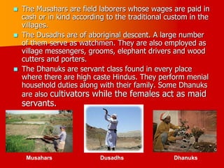  The Musahars are field laborers whose wages are paid in
cash or in kind according to the traditional custom in the
villages.
 The Dusadhs are of aboriginal descent. A large number
of them serve as watchmen. They are also employed as
village messengers, grooms, elephant drivers and wood
cutters and porters.
 The Dhanuks are servant class found in every place
where there are high caste Hindus. They perform menial
household duties along with their family. Some Dhanuks
are also cultivators while the females act as maid
servants.
Musahars Dusadhs Dhanuks
 