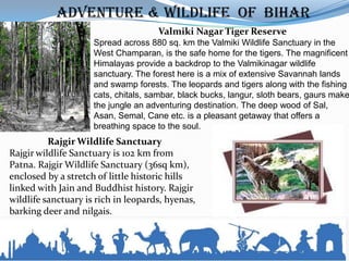 Visit Bihar - Budhhist Tour in India