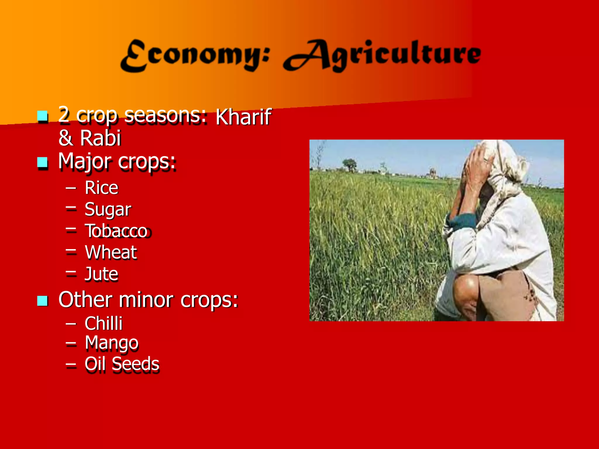  2 crop seasons:
& Rabi
 Major crops:
Kharif
–
–
–
–
–
Rice
Sugar
T
obacco
Wheat
Jute
 Other minor crops:
–
–
–
Chilli
Mango
Oil Seeds
 
