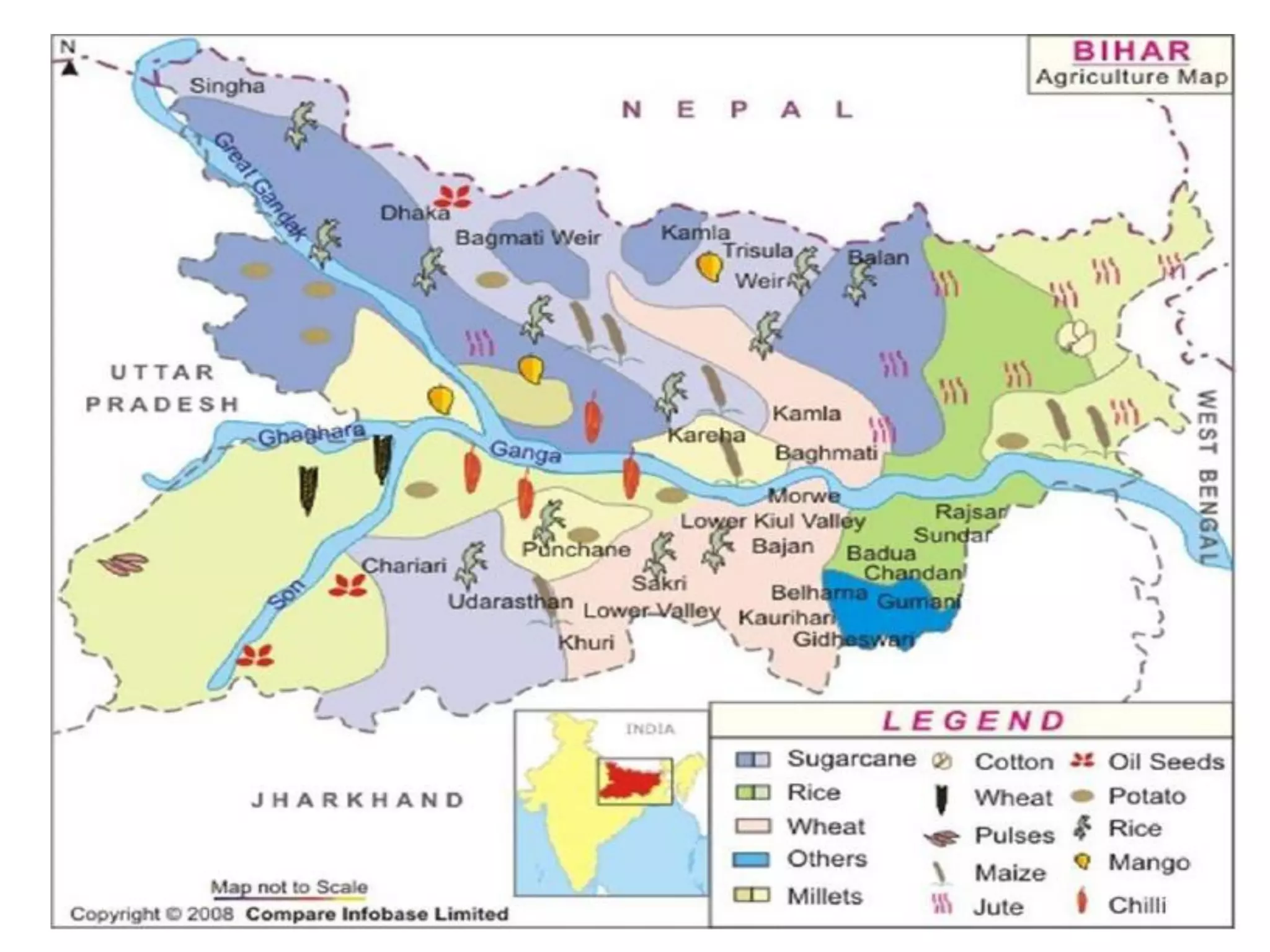 -·--
,.�-
BIHAR
Agriculture Map
'•
'
N
Singha -·
q.
�
- p
E
N A L
. ' - •
.I',
--.-
.
_
..
-,
-
,, -:»: / -c
�·  ..,.c.,'! -.
-
"
.r » '-
.. J 
Ba11"18ti Weir
..
la ..
.....,
,
�
Tnsula ,,.��er
',) ,)'t.t/.
Q n
Weir
I .-.
I (
•
•
• ·
.,
�
II I
PRADESH
OJ
m
,
.
'-
,
,
�
)
-J
'r
J
-Potato
Rice
Mango
Chilli
JHARKHAND
f
� Wheat
-Others
CD Millets
.._.

'
Pulses
Maize
Jute
Q
•
Map not to�
Copyright C 2008 Compare lnfoba•• Limit.ct
 
