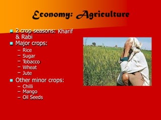  2 crop seasons:
& Rabi
 Major crops:
Kharif
–
–
–
–
–
Rice
Sugar
T
obacco
Wheat
Jute
 Other minor crops:
–
–
–
Chilli
Mango
Oil Seeds
 